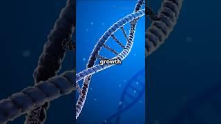 This is how the process of growth takes place in your body #growthplan #growthhub