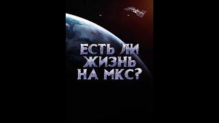 Ю Тимовский Есть ли жизнь на МКС Глава 1