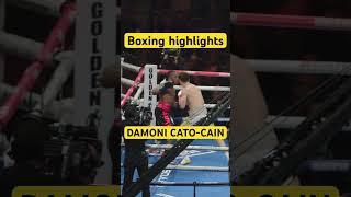 BOXING HIGHLIGHTS OF THE YEAR DAMONI CATO-CAIN #boxing #dazn #goldenboy #ufc #oaklandroots #oakland