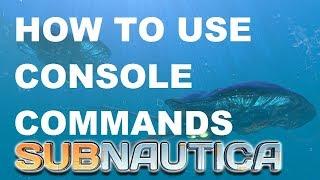 How to use Console Commands On Subnautica