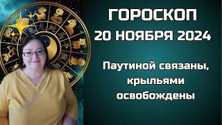 Гороскоп на 20 ноября 2024. Из паутины в полёт. Освободи своего внутреннего орла!