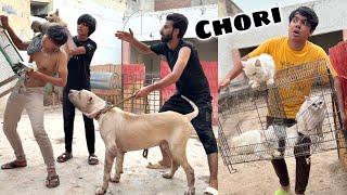 Samad Ka Zoo Ky Sab Pet Chori Krna Laga Lakin 