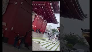 Japanese cityscape/японский пейзаж #shorts #beautiful #Japan #Tokyo #Asakusa #city ​​view #пейзаж
