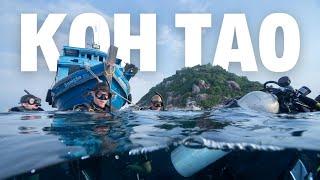 PADI Diving License in Koh Tao while working remotely (1 whole week)