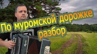 По муромской дорожке // разбор на гармони тональность До мажор