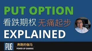 期权怎么玩 | 看跌期权(Put Option)无痛起步（走好进入期权市场的第一步）The Ultimate Guide to Put Options