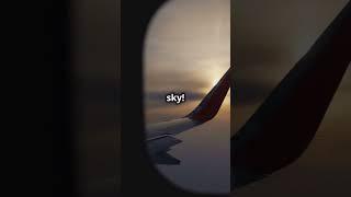 Mind Blowing Facts About the World's Longest flight! ️  #travel #aviation #facts #longestflight