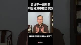 习近平这一件事，让所有刺激经济的举措无效；而且刺激有反作用