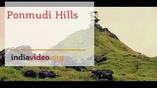 The Magical Mist Of The Ponmudi Hills | India Video