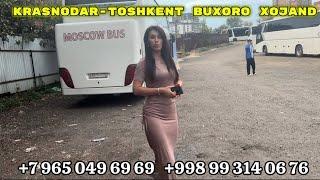  Ташкент Краснодар автобус,Toshkent Krasnodar avtobus,Ростов Ташкент,Краснодар-Ташкент автобус