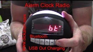 Raynic Dual Alarm Clock FM Radio Bluetooth Speaker