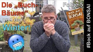 Bock auf Bonsai - Folge 5 - Die "Buch-Bäume" und der Winter!