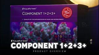 Component 1+2+3+