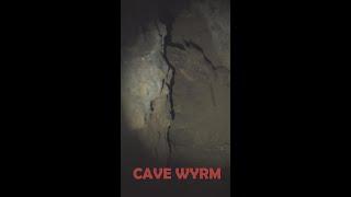 Cave Wyrm