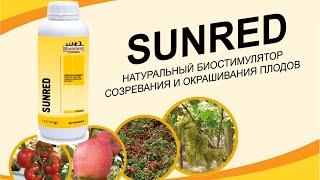 Санред (SUNRED) - биостимулятор окрашивания плодов от компании Biolchim (Италия)