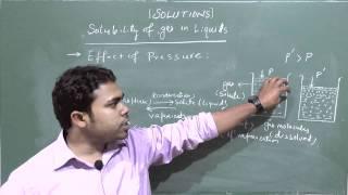 Chem Dev Solutions Solubility of gas in liquids effect of pressure