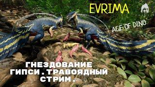 THE ISLE / EVRIMA. ГНЕЗДОВАНИЕ ГИПСИ. ТРАВОЯДНЫЙ СТРИМ. AGE OF DINO