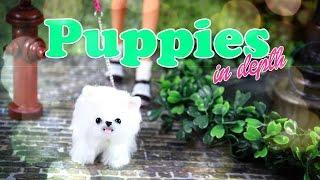 DIY - How to Make: Cute Doll Puppies - In Depth - Handmade - Craft - 4K