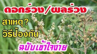 10 สาเหตุ!ที่ทำให้ดอกร่วง!ผลร่วง! พร้อมแนะวิธีแก้ไขแบบละเอียด