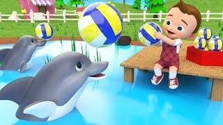 Little Baby Play Dolphins Balls at Pool Learn Numbers for Children Kids Educational Videos