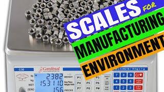 The Best Weighing Scales for Manufacturing Environments