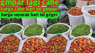 Harga cabe hari ini geger#sayuran #usahamenjanjikan #jualan cabe# 9 mart 2025