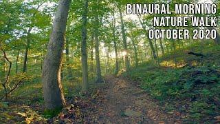 Binaural Morning Nature Walk (No speaking or music) (October 2020)