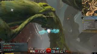 Guild Wars 2 (Strongbox) - Lethal Vantage (Verdant Brink)