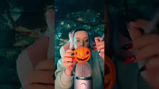 The Ultimate Pumpkin Brushing ASMR Experience