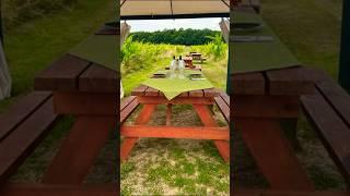 THINGS TO DO IN TUSCANY | WINE TASTING #travel #winetasting #tuscany #italy #vanlife
