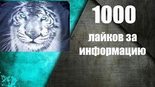 Кому арестовала счета Дорошкевич В.Л.Информация для всех заинтересованных лиц.