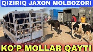 SURXONDARYO QIZIRIQ JAXON MOLBOZORI SOTILGAN VA QAYTGAN MOLLAR 20.10.2024