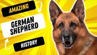 FASCINATING HISTORY OF THE GERMAN SHEPHERD