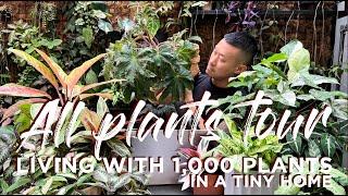 Living With Over 1,000 plants 🪴 In a Tiny Home | Common to Rare | Learn their Names!