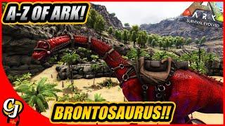 A-Z Of Ark! The BRONTOSAURUS One Of The Most TANKY HERBIVORES Ever!! || Ark Survival Evolved!