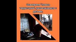 Про деревню. Разъехались с детьми. Начали осваивать огород.