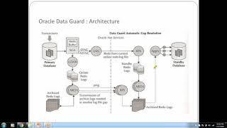 Oracle DataGuard Architecture