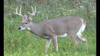 IOWA YOUTH HUNT |  "First Buck" | ADVANTAGE WHITETAIL