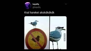 komik yorumlar 1 #komikvideolar