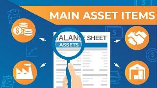 What Are the Main Asset Items?