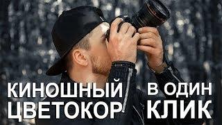 БЫСТРАЯ ЦВЕТОКОРРЕКЦИЯ ВИДЕО в Lightroom | Как сделать свой LUT для Premiere?