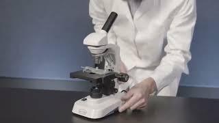 Carolina Lab Skills: How to Use a Microscope