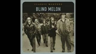 Blind Melon - No Rain (Vocals & Guitars)