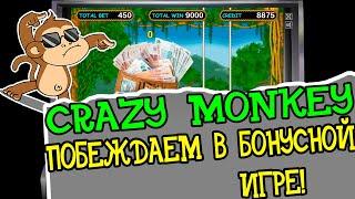 Автомат Игра на Автомате Crazy Monkey! Побеждаем Шизоидов в Бонусной Игре!