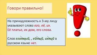 6 класс русс яз Разряды местоимений притяжат  указат  определит  местоимения