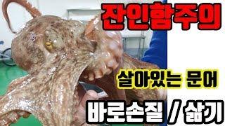 (잔인함주의) 통영산 살아있는 돌문어 손질법 /돌문어 삶는방법 및 시간등