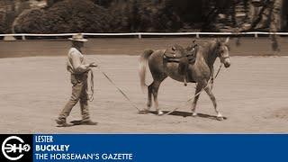 Getting to Know a New Horse with Lester Buckley