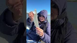 Pejerrey con dedicatoria #pesca #mdqteam #fishing