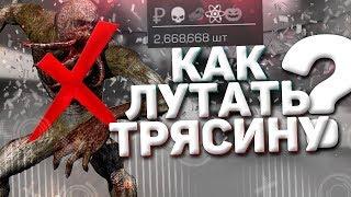 StalCraft! Как лутать трясину? Маршруты.