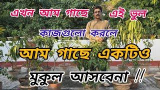 এখন আম গাছে এই ভুল কাজগুলো করলে আম গাছে একটিও মুকুল আসবেনা || Mango plant care #garden #youtube